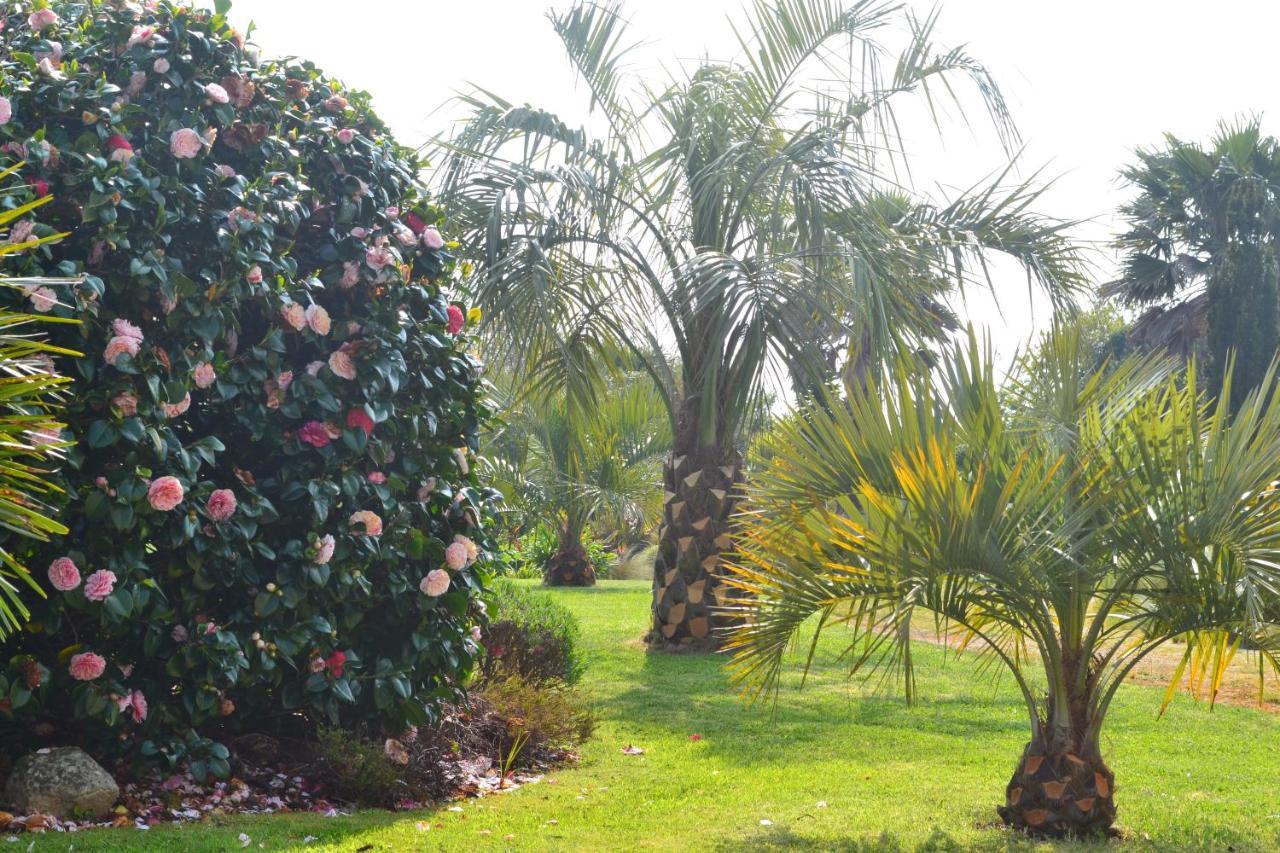 D'hotes Le Nid D'iroise Guest house Lanildut