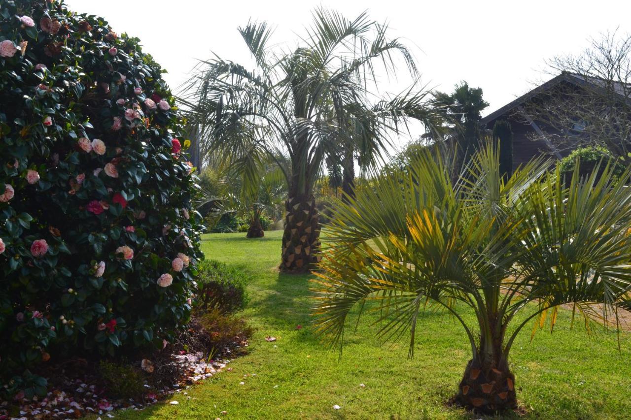 Guest house D'hotes Le Nid D'iroise Lanildut